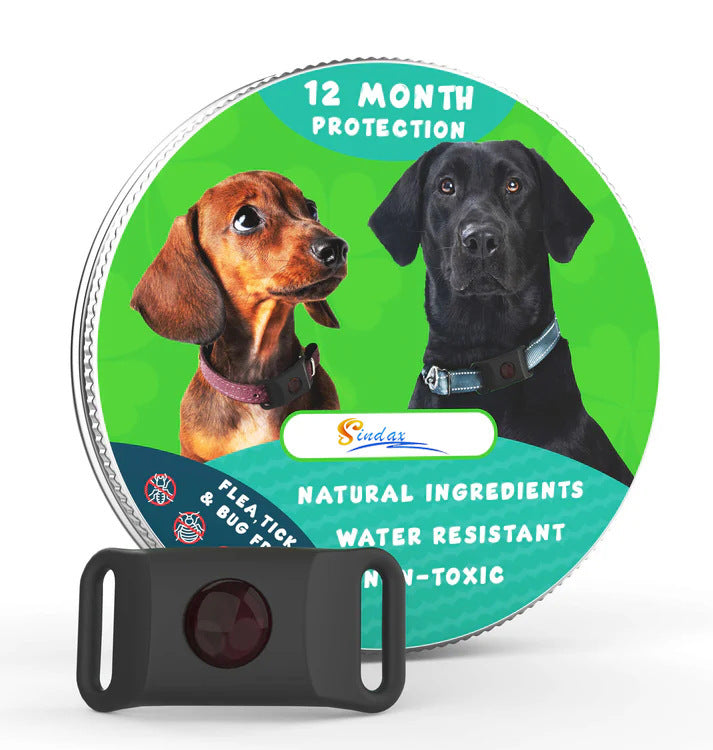 Pest Guard Dog Pendant