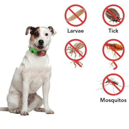 Pest Guard Dog Pendant