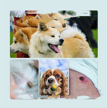 Pest Guard Dog Pendant